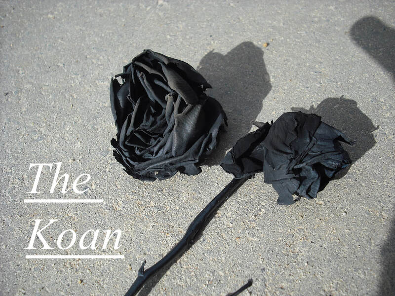 Black and white photo of withered rose on a concrete surface. Text: The Koan