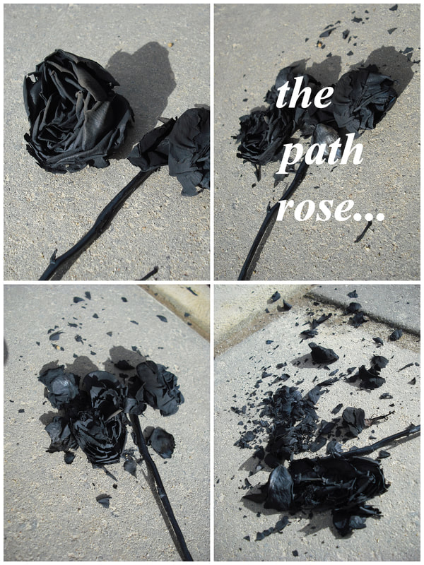 Montage of four different photos of the rose in increased stages of decay. Text: the path rose...