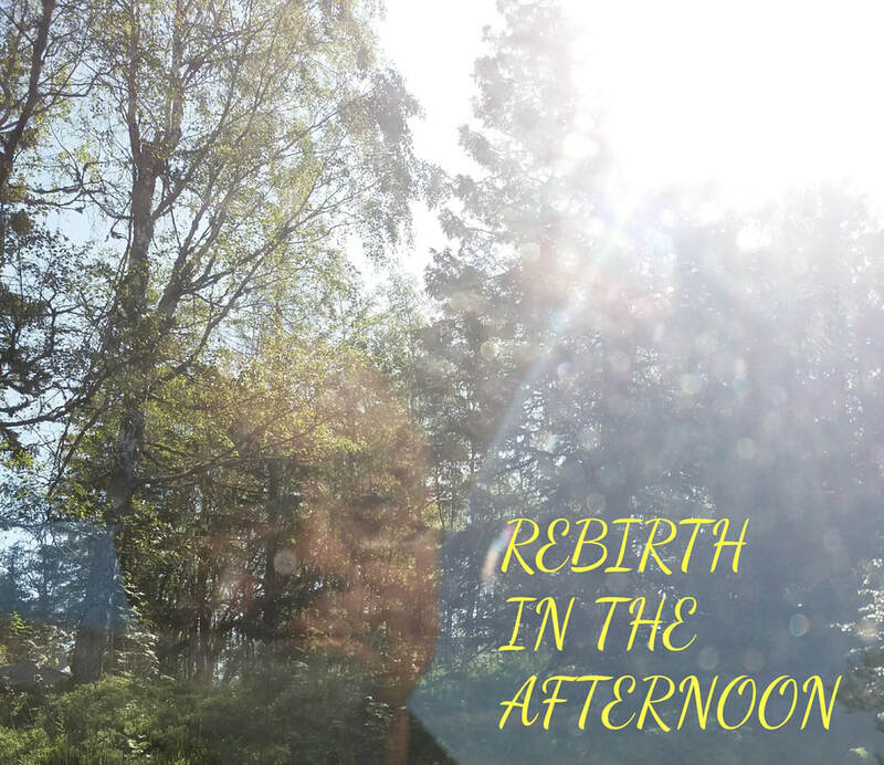Transparent silhouette of Ajahn Kalyano with forest and sunshine in the background. Text: REBIRTH IN THE AFTERNOON