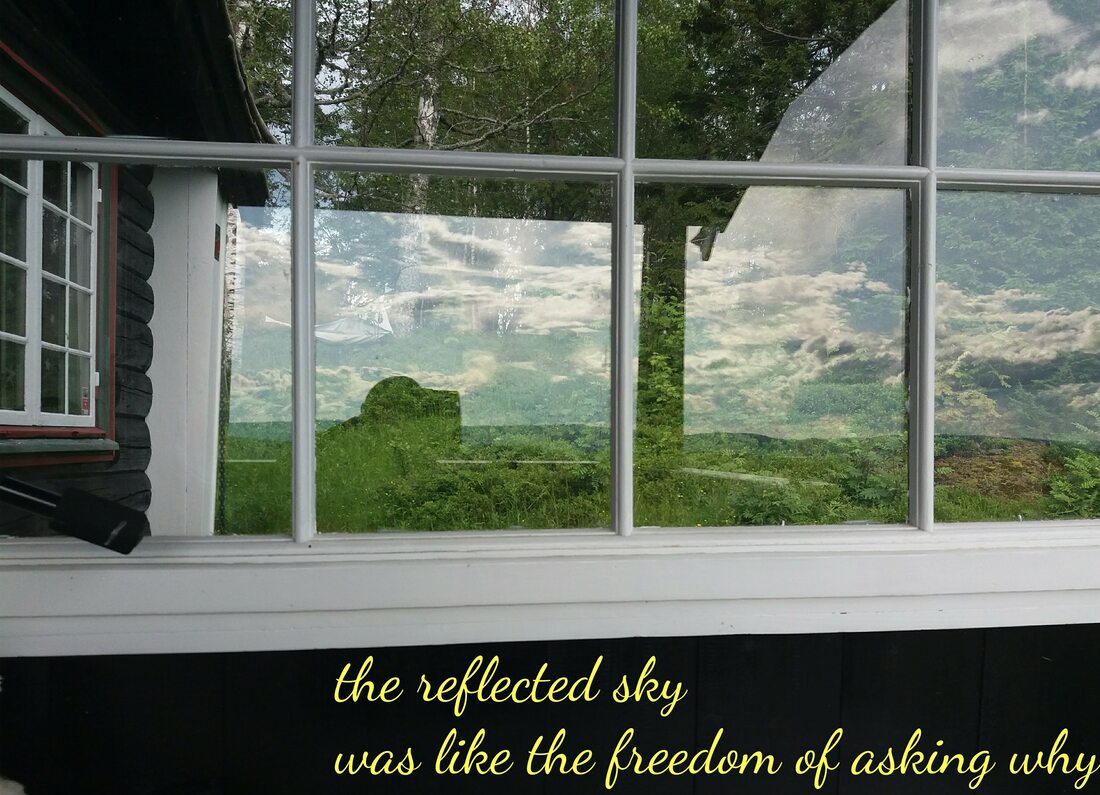 Photo of forest through window, with reflections of the sky and the photographer. Text: the reflected sky was like the freedom of asking why