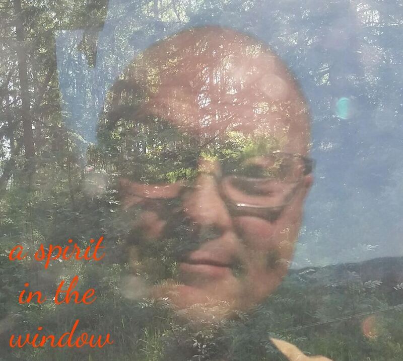Photo of forest, with reflections of the photographer. Text: a spirit in the window