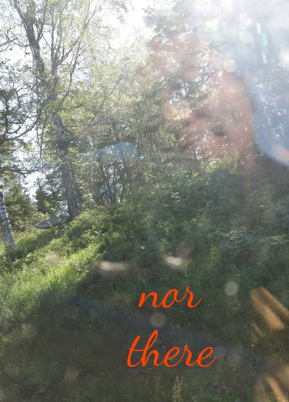 Photo of forest, with reflections of the photographer. Text: nor there