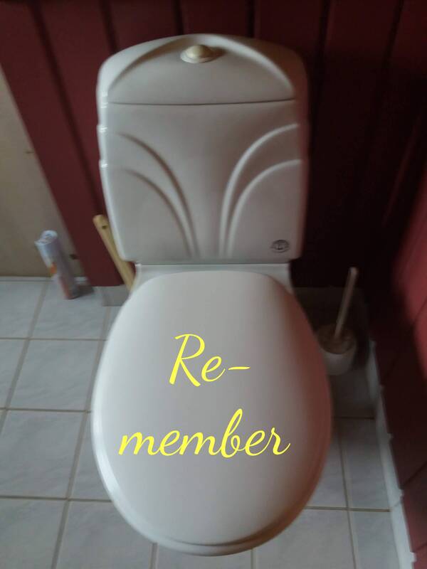 artistic photo of toilet with the text "Re-member"
