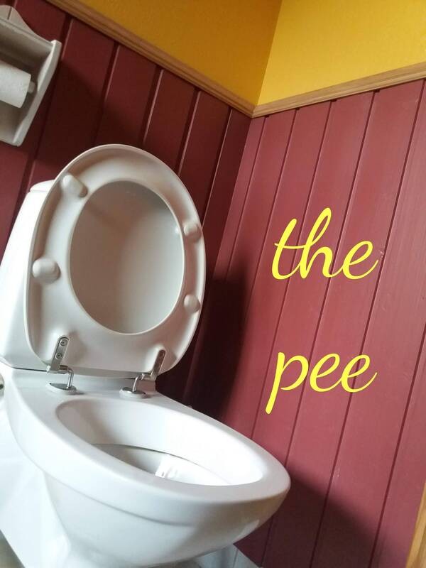 artistic photo of toilet with the text "the pee"