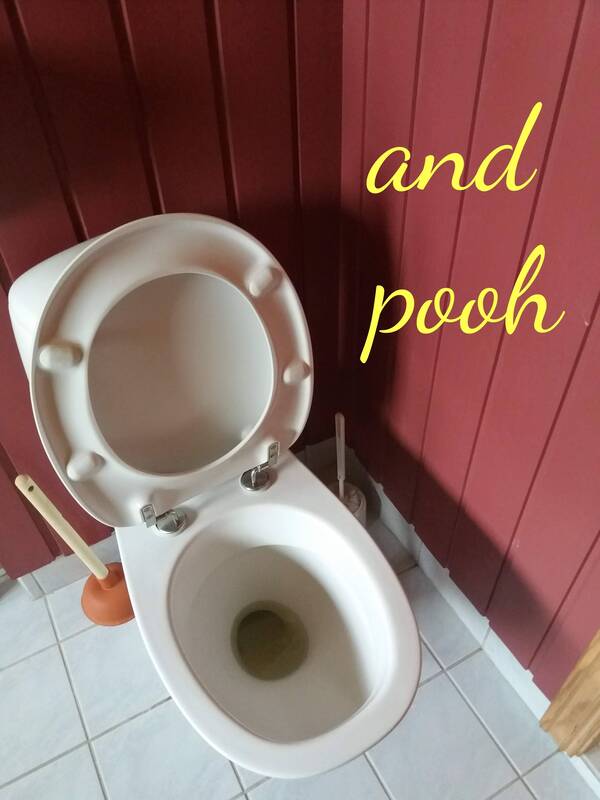artistic photo of toilet with the text "and poo"