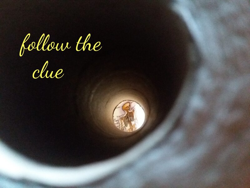 artistic photo of narrow tunnel of toilet paper roll and medical picture of skeleton on the other side, and the text "follow the clue"