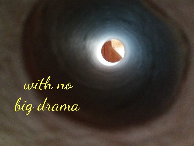 artistic photo of narrow tunnel of toilet paper roll and window frame on the other side, and the text "with no big drama"