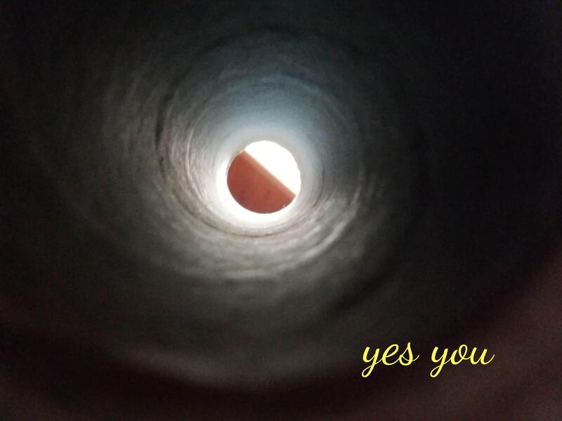 artistic photo of narrow tunnel of toilet paper roll and window frame on the other side, and the text "yes you"